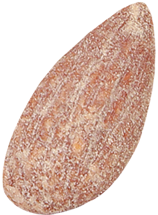salted almond